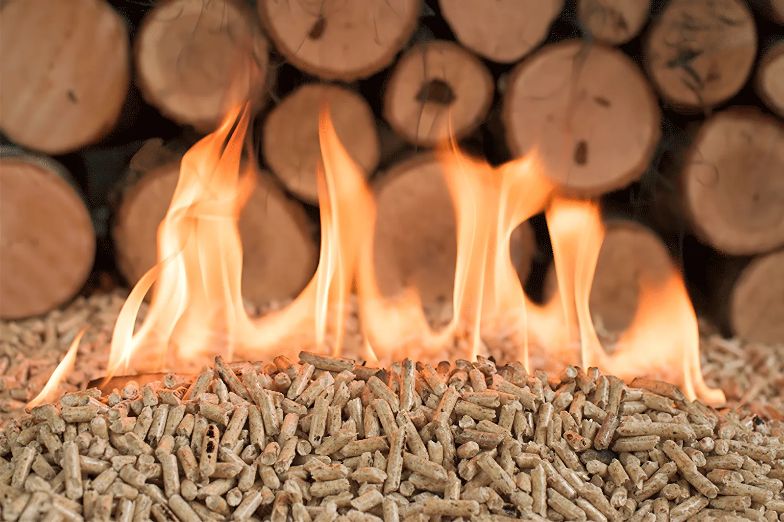 pellet