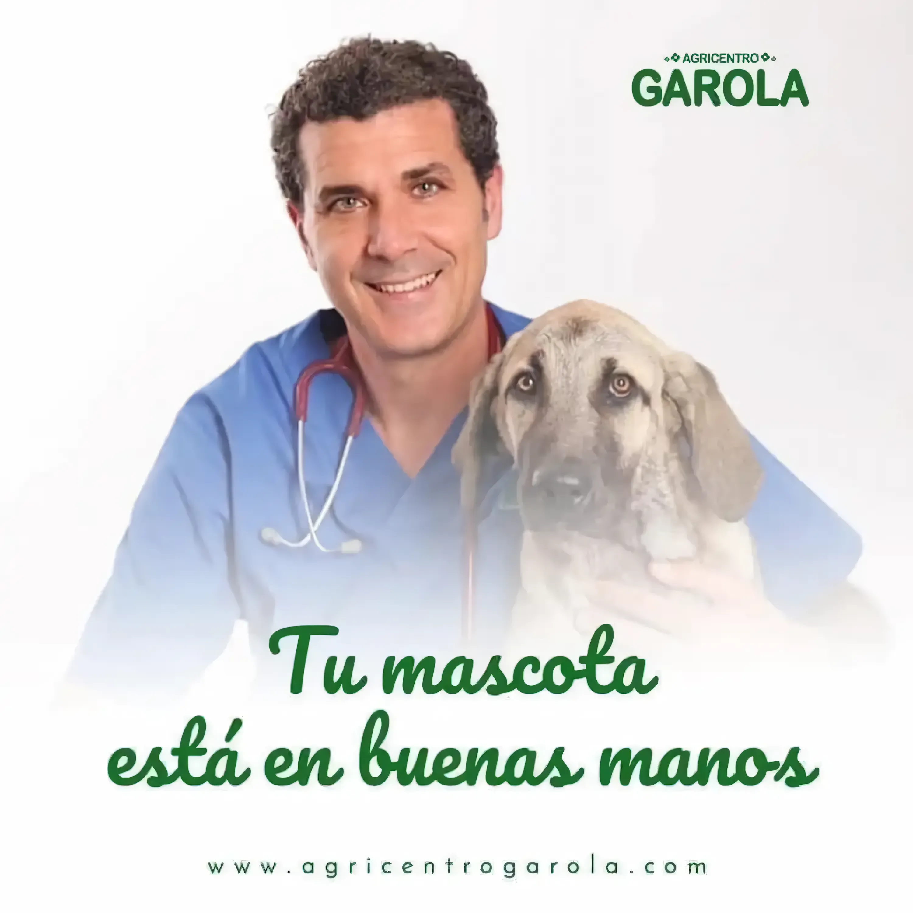 clinica veterinaria
